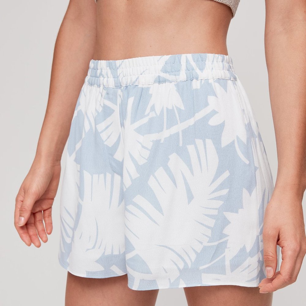 Wilfred (Aritzia) Blue and White Shorts